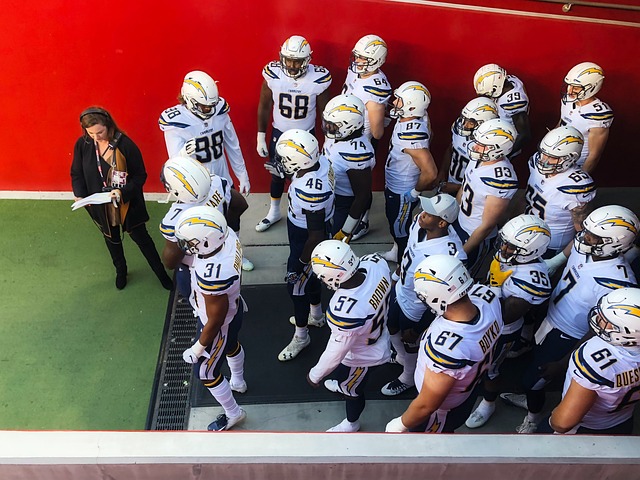 蓝军的血脉 蓝军的血脉