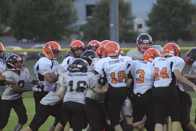 的沉着冷静 的沉着冷静