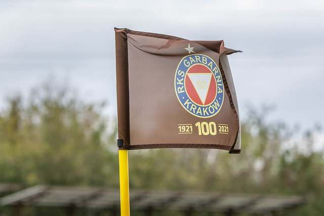 也期待着他 也期待着他