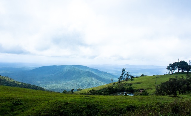 無疑是教練 無疑是教練